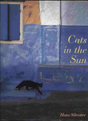 Cats In The Sun