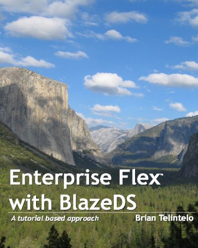 Enterprise Flex With Blazeds: A Tutorial Based Approach,Used