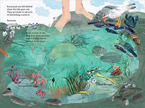 The Big Sticker Book of Blue (The Big Book Series),Used