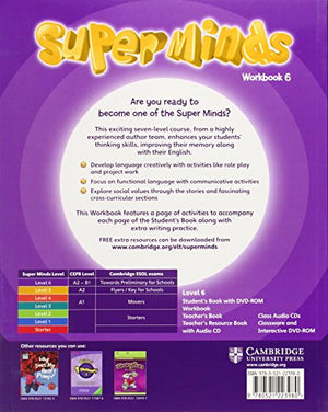Super Minds Level 6 Workbook,Used