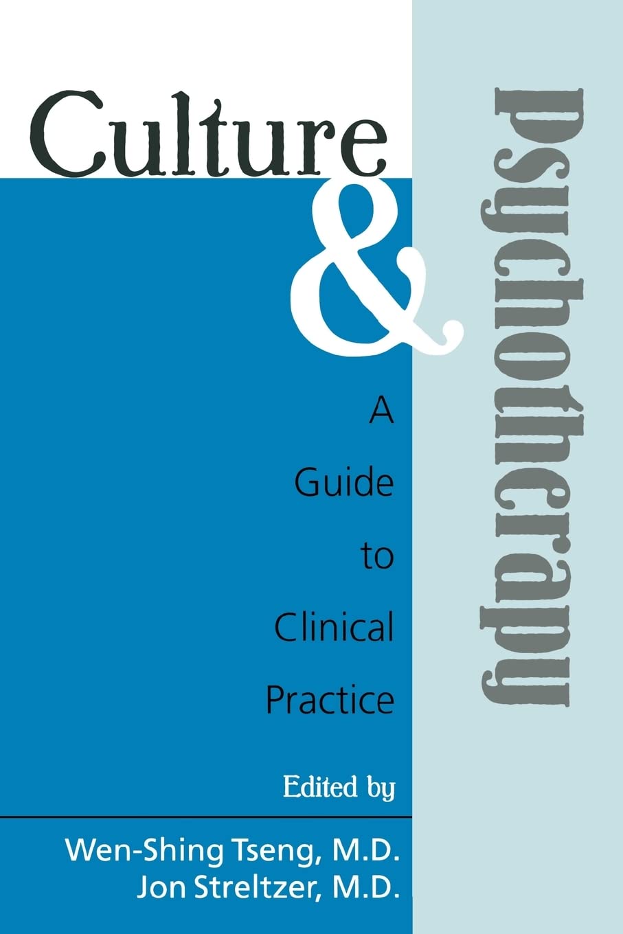 Culture and Psychotherapy: A Guide to Clinical Practice,Used