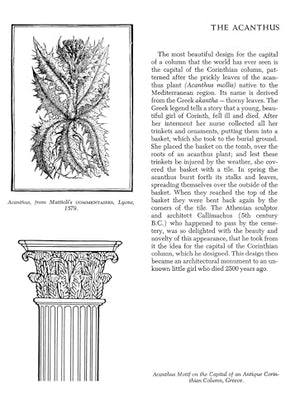 Folklore And Symbolism Of Flowers, Plants And Trees: With Over 200 Rare And Unusual Floral Designs And Illustrations (Dover Pict
