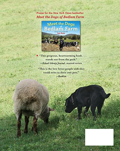 Lenore Finds a Friend: A True Story from Bedlam Farm (My Readers),Used