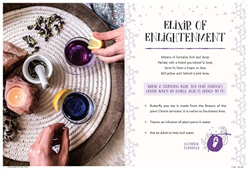 The Science Spell Book: 30 Enchanting Experiments For Kids-used