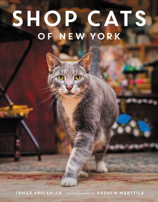 Shop Cats of New York,Used