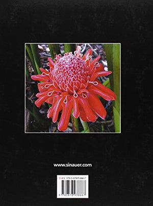 Plant Physiology,New