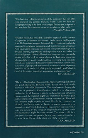 Dealing With the Therapist's Vulnerablility to Depression,Used