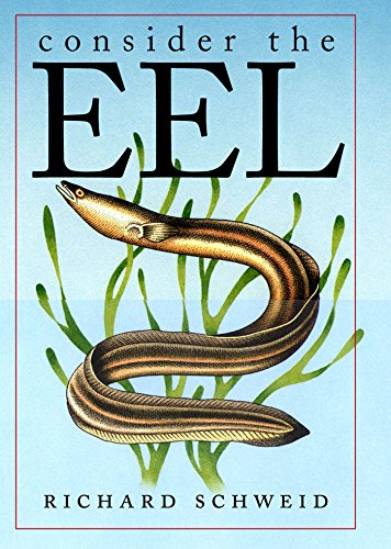 Consider The Eel,Used