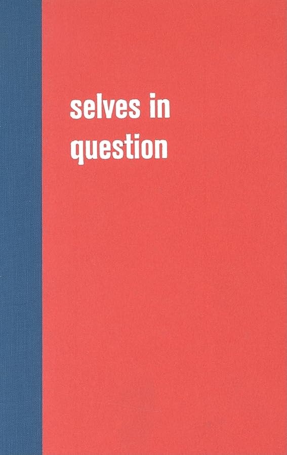 Selves in Question: Interviews on Southern African Auto/biography (Writing Past Colonialism),Used