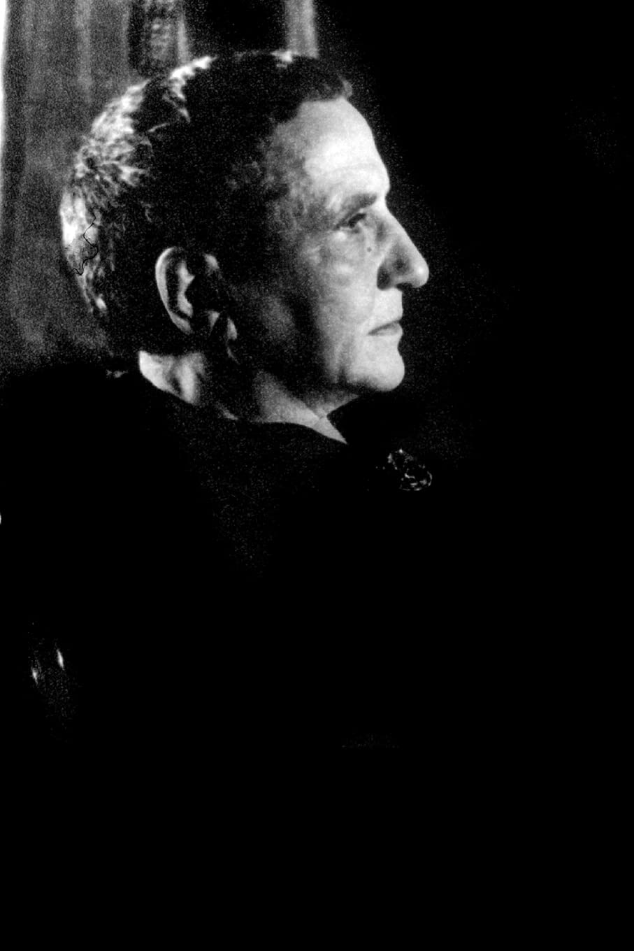 Gertrude Stein Remembered,New