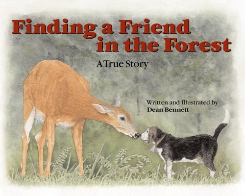 Finding a Friend in the Forest,Used