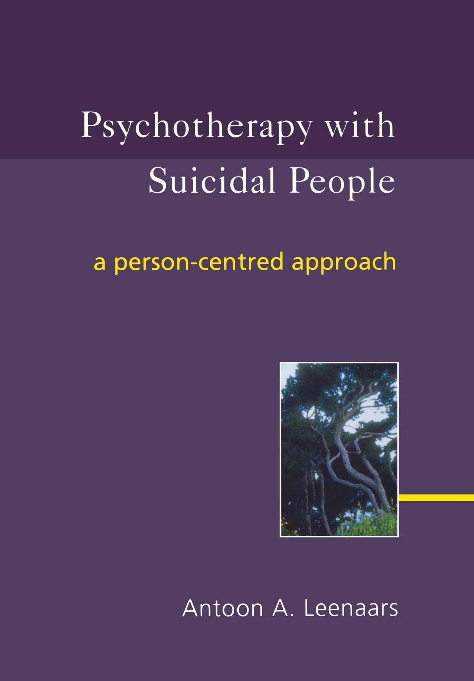 Psychotherapy with Suicidal People: A Personcentred Approach,Used