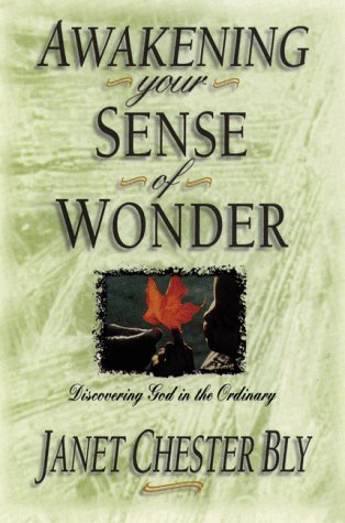Awakening Your Sense of Wonder: Discovering God Through the Ordinary,Used