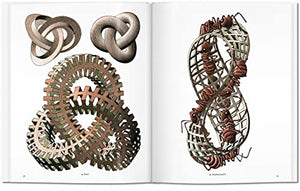 M.C. Escher: 18981972: The Graphic Work,New