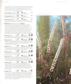 Dream Plants For The Natural Garden