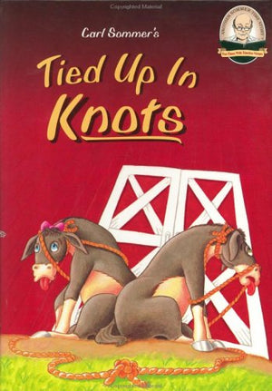 Tied Up In Knots (Another SommerTime Story),Used