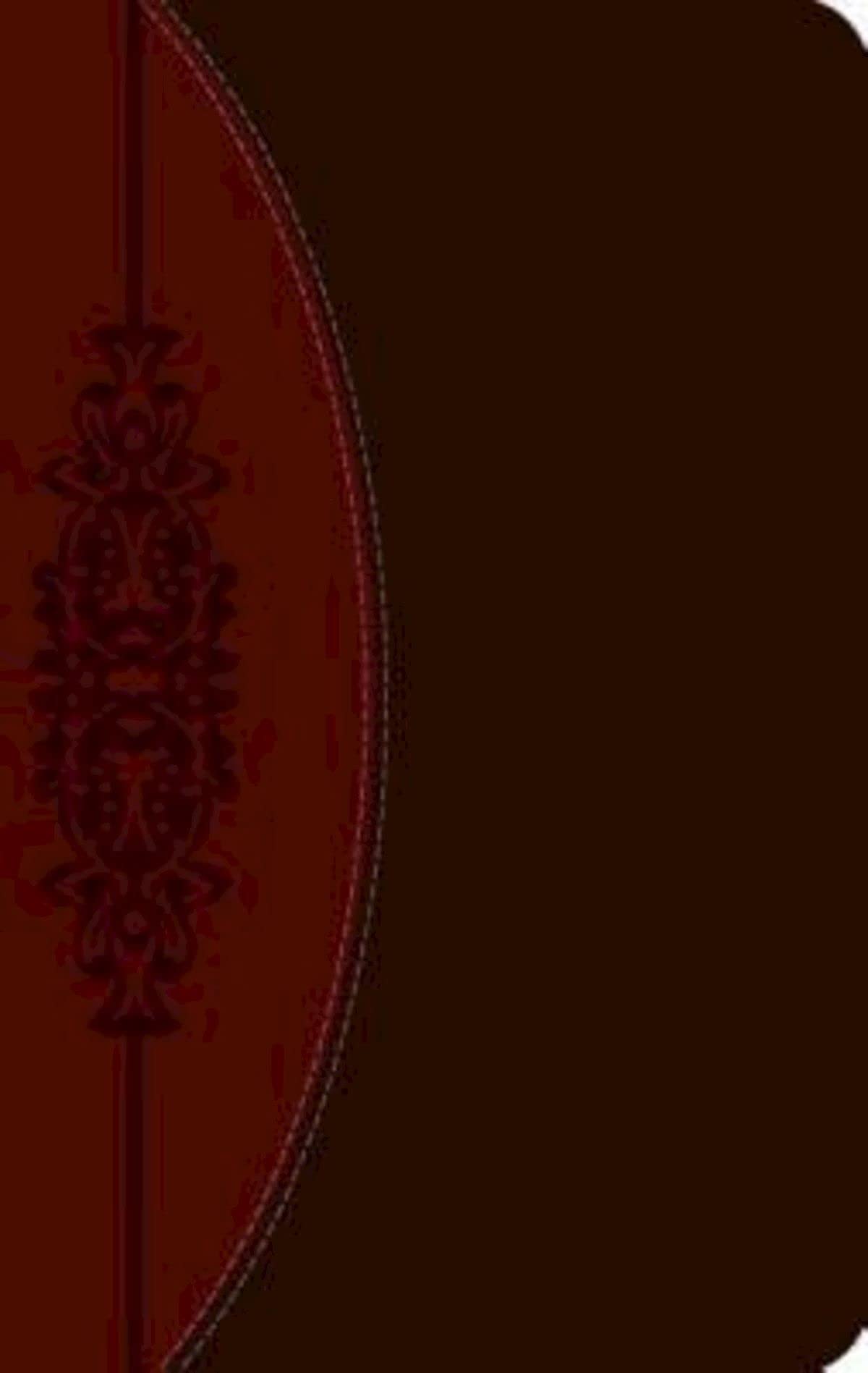 The Ceb Wesley Study Bible