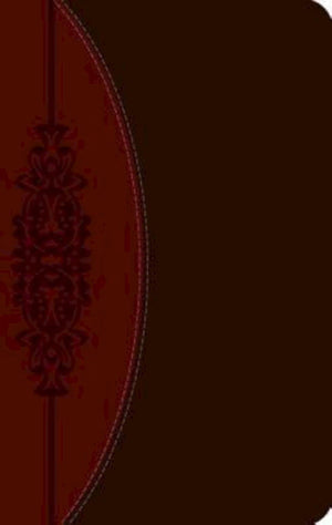 The Ceb Wesley Study Bible