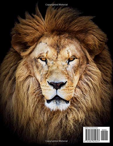 Graph Paper Notebook: Quad Ruled Graphing Paper, 200 Pages, Lion Head (8.5x11),Used