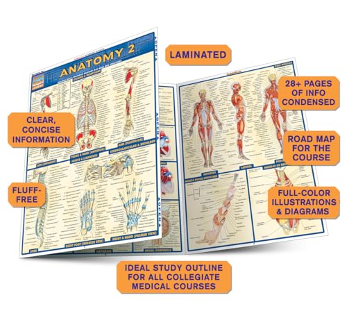 Anatomy 2 QuickStudy Laminated Reference Guide (QuickStudy Academic),New