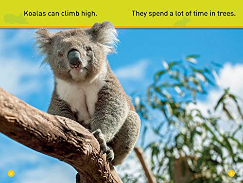Climb, Koala! (National Geographic Kids Readers, PreReader),Used