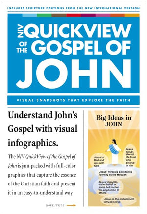 NIV, QuickView of the Gospel of John, Paperback (NIV QuickView Bible),Used
