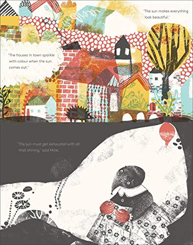 Mole in a Black and White Hole,Used