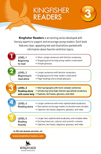 Kingfisher Readers L3: Vikings,Used