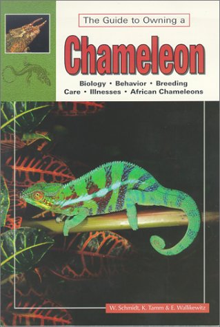 The Guide to Owning a Chameleon,Used