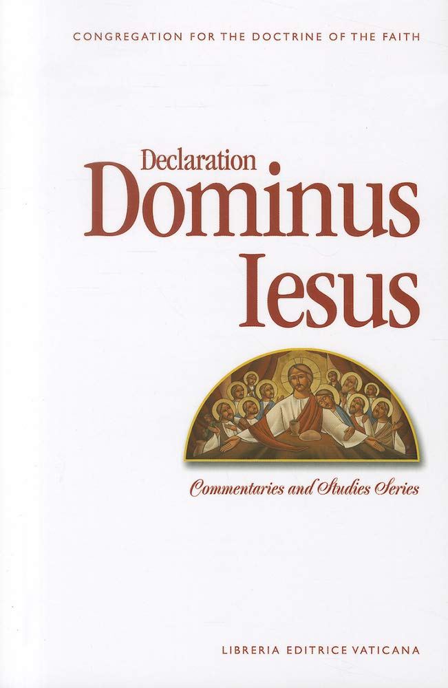 Declaration Dominus Iesus,Used