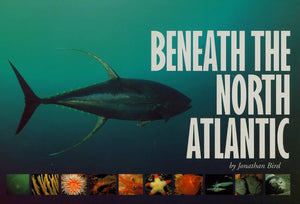 Beneath the North Atlantic,Used