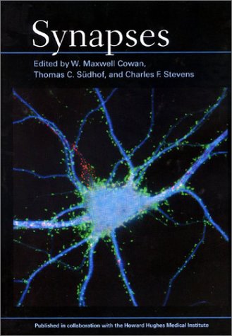Synapses,New