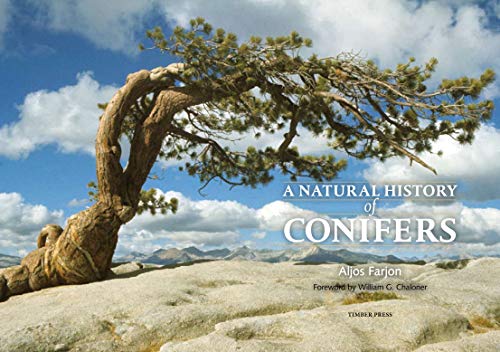 A Natural History of Conifers,Used