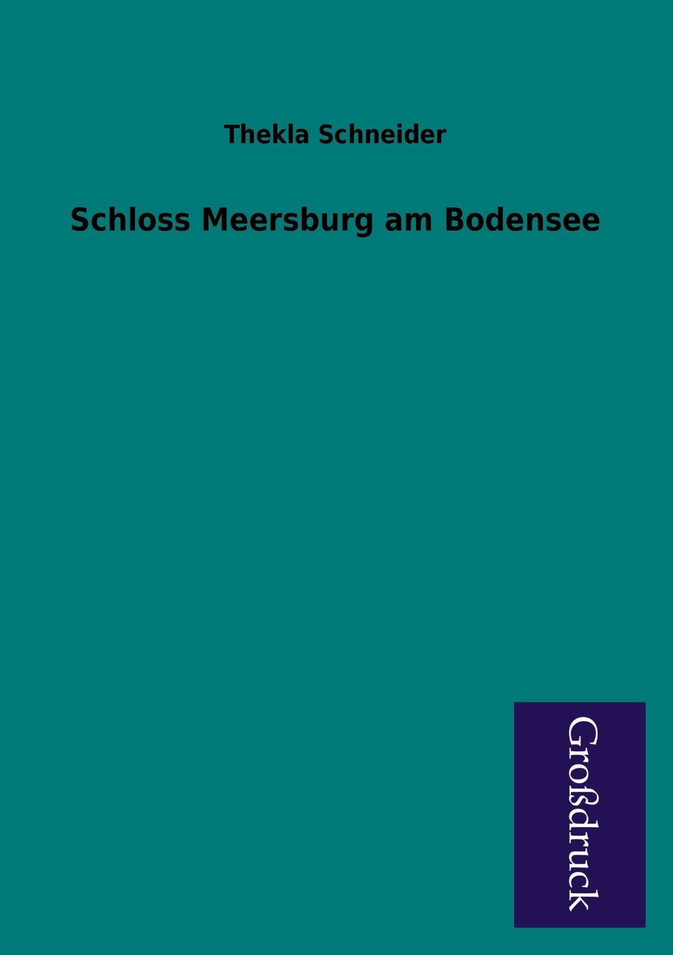 Schloss Meersburg Am Bodensee (German Edition),Used