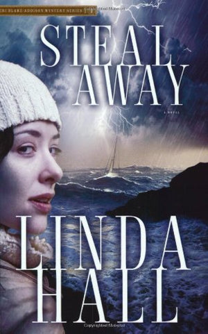 Steal Away (Teri BlakeAddison Mystery Series #1),Used