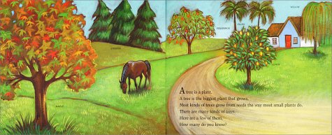 A Tree Is A Plant (Let'Sreadandfindout Science),Used