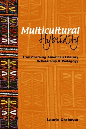 Multicultural Hybridity: Transforming American Literary Scholarship And Pedagogy,Used