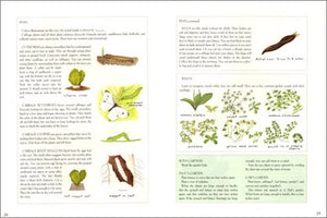 My Backyard Garden,Used