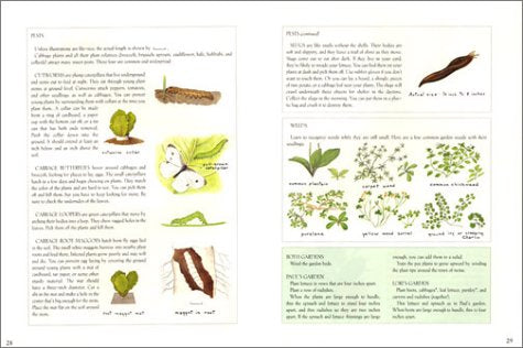 My Backyard Garden,Used