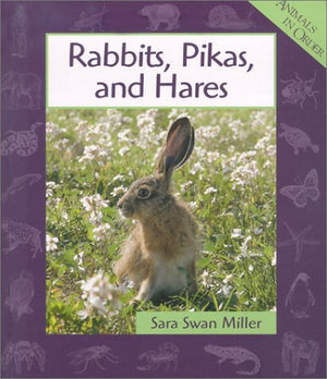 Rabbits, Pikas, and Hares (Animals in Order),Used