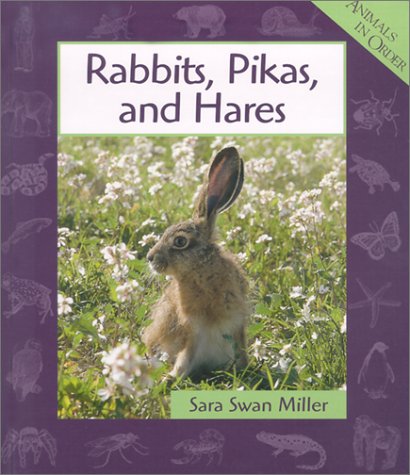 Rabbits, Pikas, and Hares (Animals in Order),Used