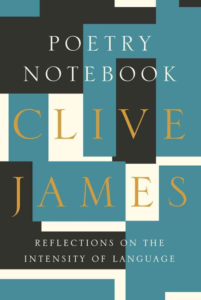 Poetry Notebook: Reflections on the Intensity of Language,Used