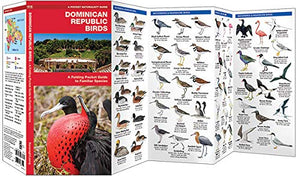 Dominican Republic Birds: A Folding Pocket Guide To Familiar Species (Wildlife And Nature Identification),New