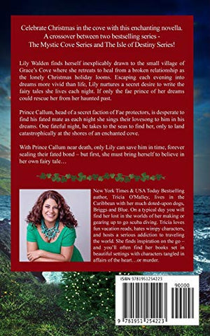 Wild Irish Christmas: A Mystic Cove and Isle of Destiny festive novella (The Mystic Cove Series),Used