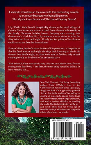 Wild Irish Christmas: A Mystic Cove and Isle of Destiny festive novella (The Mystic Cove Series),Used