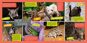 Hey, Baby!: A Collection Of Pictures, Poems, And Stories From Nature'S Nursery (National Geographic Kids)