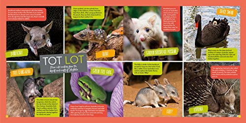 Hey, Baby!: A Collection Of Pictures, Poems, And Stories From Nature'S Nursery (National Geographic Kids)