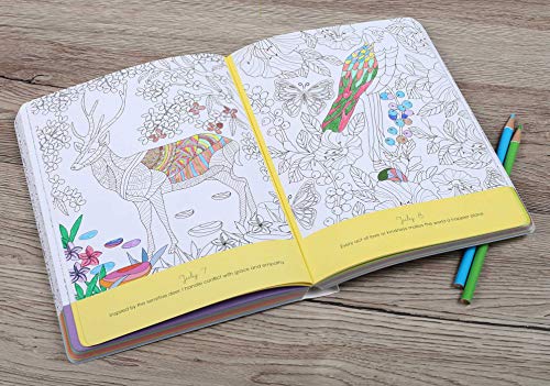 365 Peaceful Days To Color