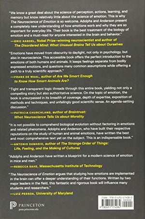 The Neuroscience Of Emotion: A New Synthesis,Used