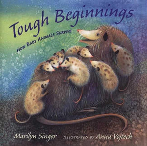 Tough Beginnings: How Baby Animals Survive,Used